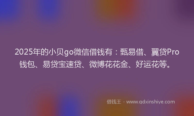 2025年的小贝go微信借钱有：甄易借、翼贷Pro钱包、易贷宝速贷、微博花花金、好运花等。