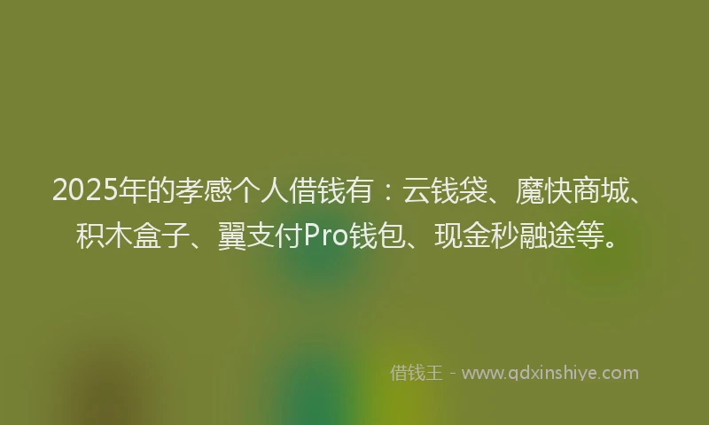 2025年的孝感个人借钱有：云钱袋、魔快商城、积木盒子、翼支付Pro钱包、现金秒融途等。