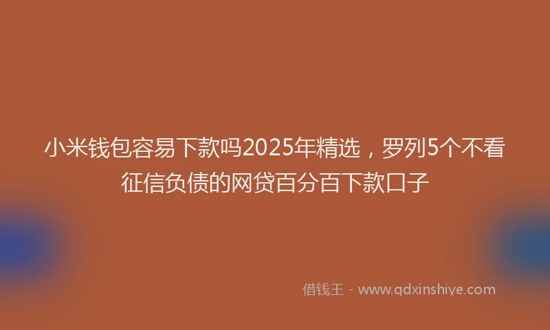 小米钱包容易下款吗2025年精选，罗列5个不看征信负债的网贷百分百下款口子