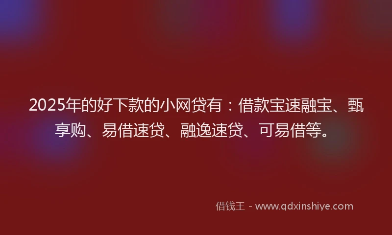 2025年的好下款的小网贷有：借款宝速融宝、甄享购、易借速贷、融逸速贷、可易借等。