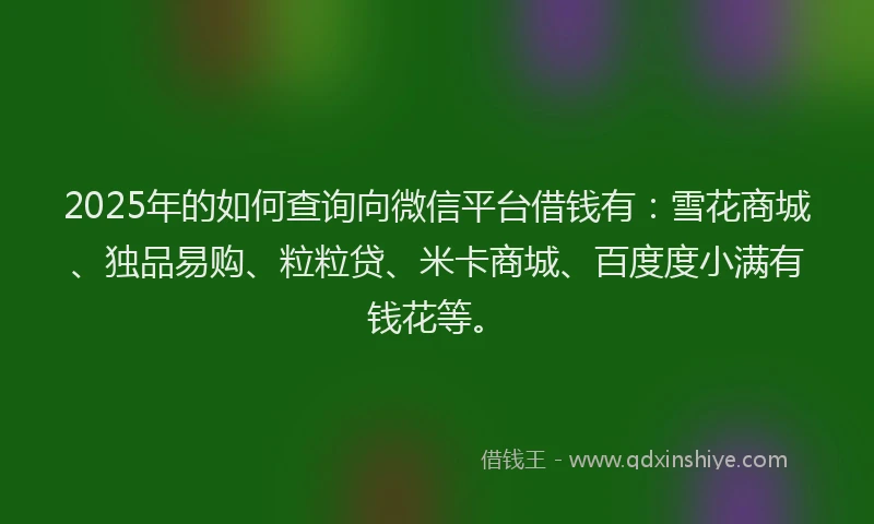 2025年的如何查询向微信平台借钱有：雪花商城、独品易购、粒粒贷、米卡商城、百度度小满有钱花等。