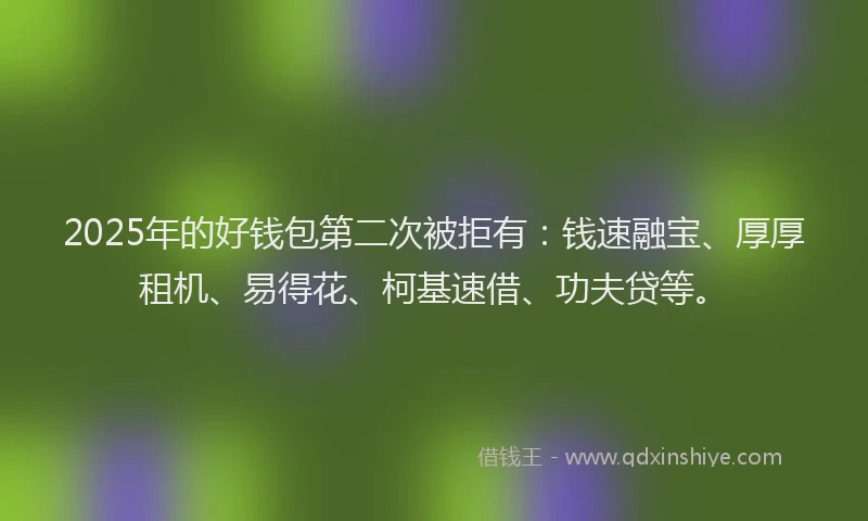 2025年的好钱包第二次被拒有：钱速融宝、厚厚租机、易得花、柯基速借、功夫贷等。