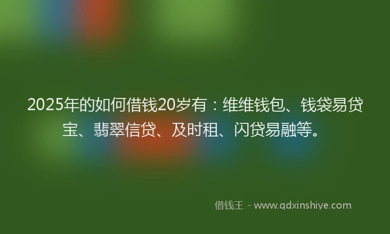 2025年的如何借钱20岁有：维维钱包、钱袋易贷宝、翡翠信贷、及时租、闪贷易融等。