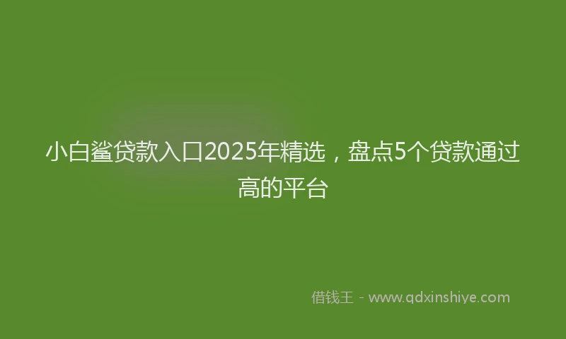 小白鲨贷款入口2025年精选，盘点5个贷款通过高的平台