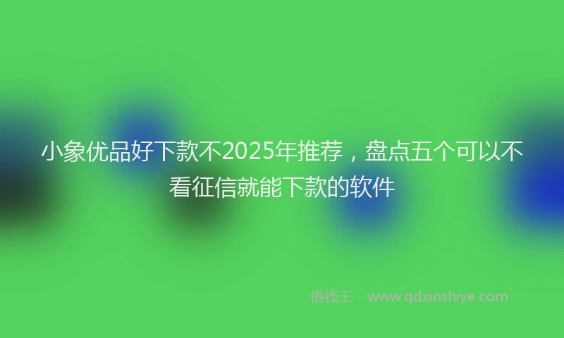小象优品好下款不2025年推荐，盘点五个可以不看征信就能下款的软件