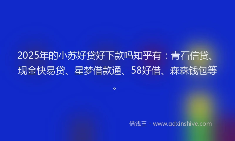 2025年的小苏好贷好下款吗知乎有：青石信贷、现金快易贷、星梦借款通、58好借、森森钱包等。