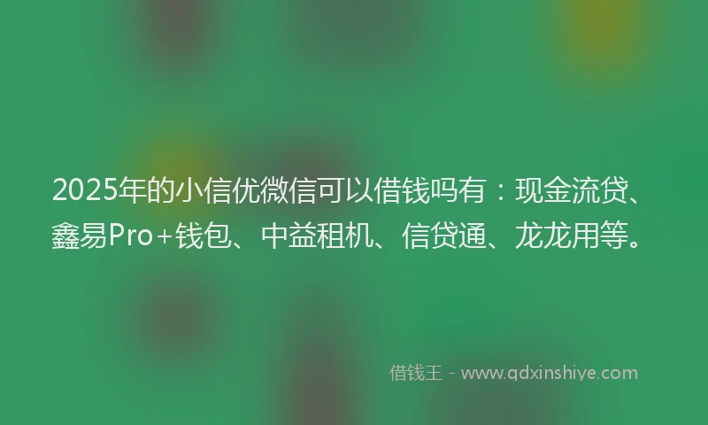 2025年的小信优微信可以借钱吗有：现金流贷、鑫易Pro+钱包、中益租机、信贷通、龙龙用等。