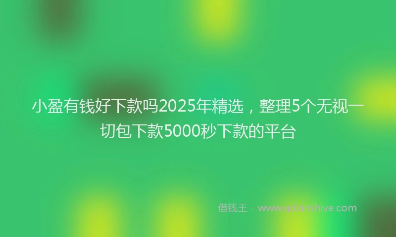 小盈有钱好下款吗2025年精选，整理5个无视一切包下款5000秒下款的平台