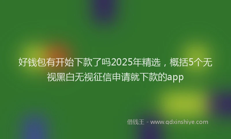 好钱包有开始下款了吗2025年精选，概括5个无视黑白无视征信申请就下款的app