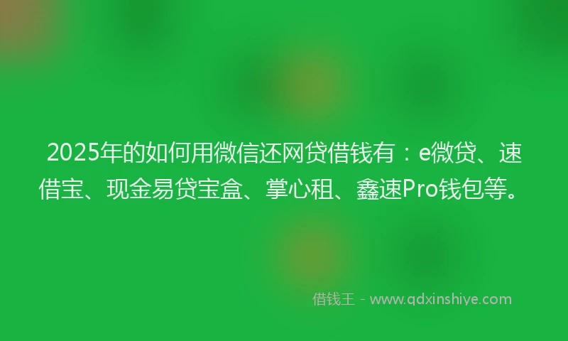 2025年的如何用微信还网贷借钱有：e微贷、速借宝、现金易贷宝盒、掌心租、鑫速Pro钱包等。