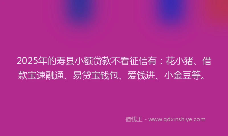 2025年的寿县小额贷款不看征信有：花小猪、借款宝速融通、易贷宝钱包、爱钱进、小金豆等。