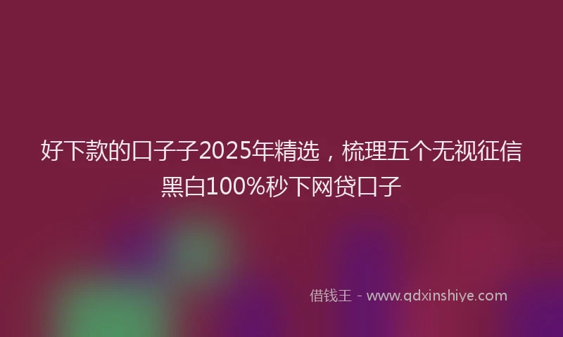 好下款的口子子2025年精选，梳理五个无视征信黑白100%秒下网贷口子