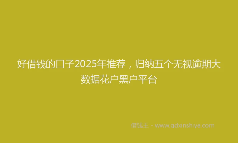 好借钱的口子2025年推荐，归纳五个无视逾期大数据花户黑户平台