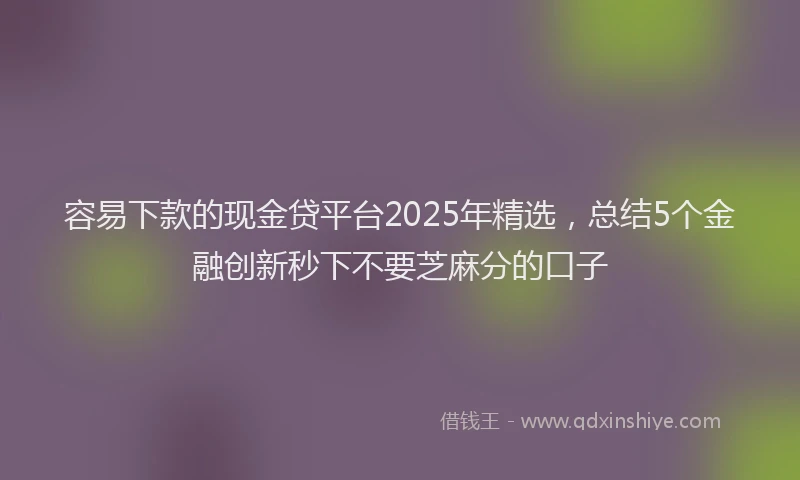 容易下款的现金贷平台2025年精选，总结5个金融创新秒下不要芝麻分的口子