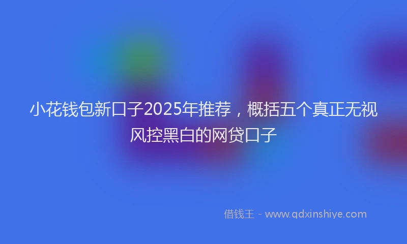 小花钱包新口子2025年推荐，概括五个真正无视风控黑白的网贷口子