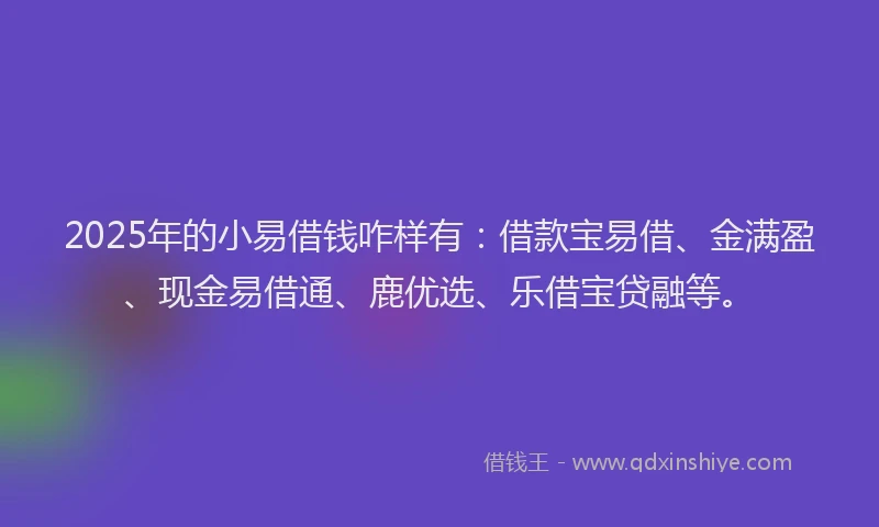 2025年的小易借钱咋样有：借款宝易借、金满盈、现金易借通、鹿优选、乐借宝贷融等。