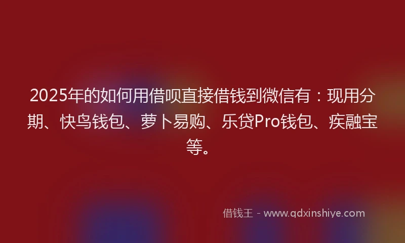 2025年的如何用借呗直接借钱到微信有：现用分期、快鸟钱包、萝卜易购、乐贷Pro钱包、疾融宝等。