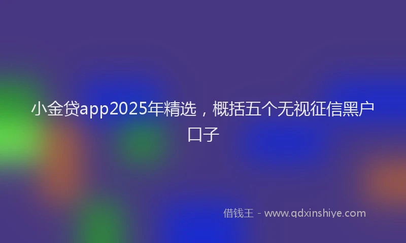 小金贷app2025年精选，概括五个无视征信黑户口子