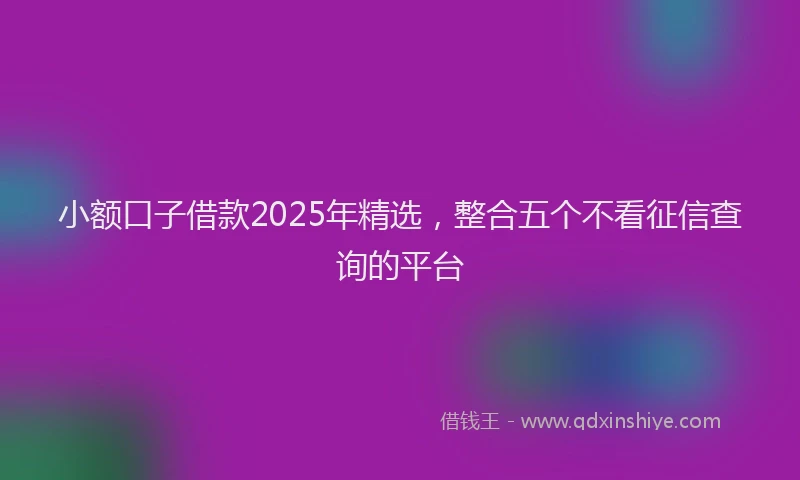 小额口子借款2025年精选，整合五个不看征信查询的平台