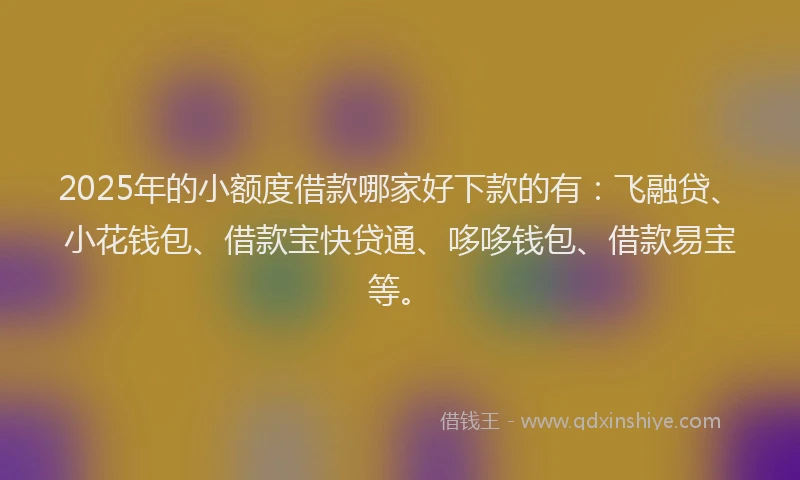 2025年的小额度借款哪家好下款的有：飞融贷、小花钱包、借款宝快贷通、哆哆钱包、借款易宝等。