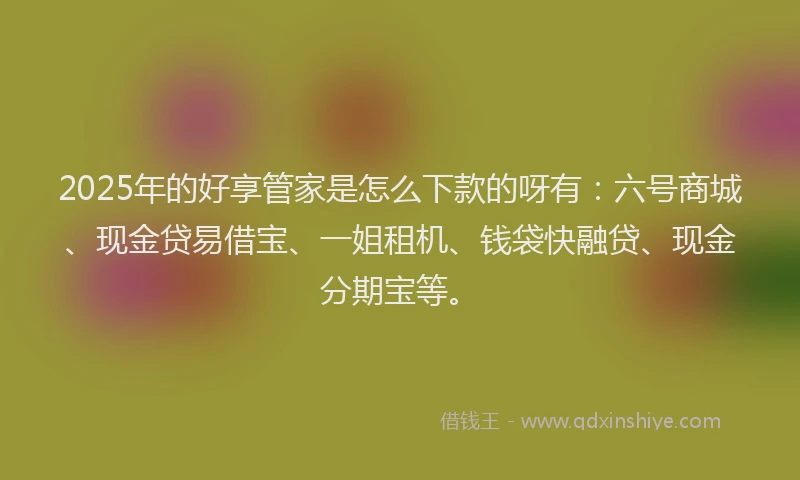 2025年的好享管家是怎么下款的呀有：六号商城、现金贷易借宝、一姐租机、钱袋快融贷、现金分期宝等。