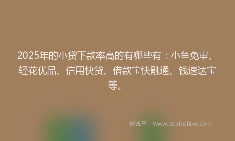 2025年的小贷下款率高的有哪些有：小鱼免审、轻花优品、信用快贷、借款宝快融通、钱速达宝等。