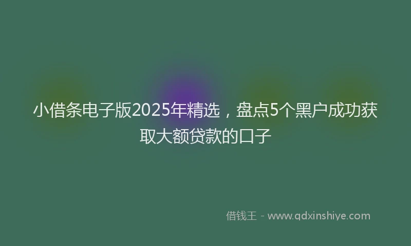 小借条电子版2025年精选，盘点5个黑户成功获取大额贷款的口子