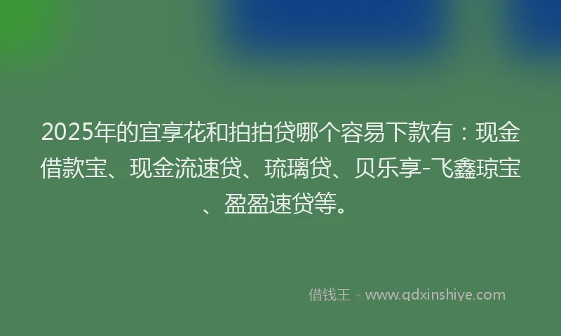 2025年的宜享花和拍拍贷哪个容易下款有：现金借款宝、现金流速贷、琉璃贷、贝乐享-飞鑫琼宝、盈盈速贷等。