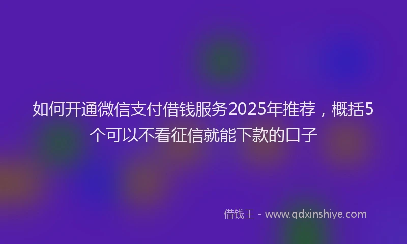 如何开通微信支付借钱服务2025年推荐，概括5个可以不看征信就能下款的口子