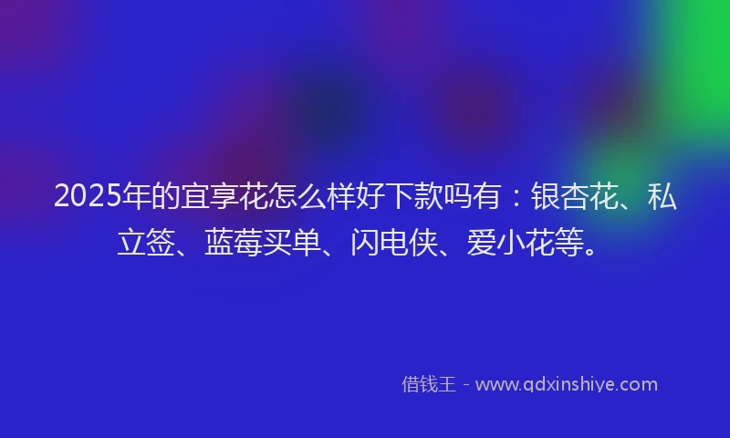 2025年的宜享花怎么样好下款吗有：银杏花、私立签、蓝莓买单、闪电侠、爱小花等。
