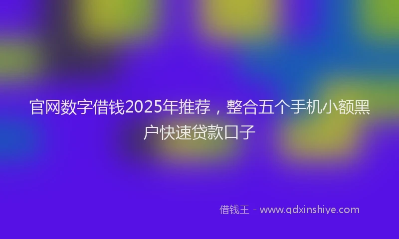 官网数字借钱2025年推荐，整合五个手机小额黑户快速贷款口子