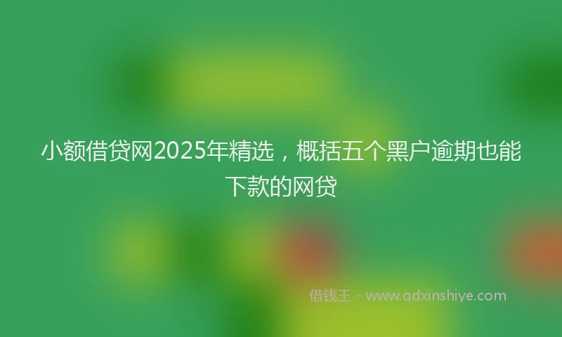 小额借贷网2025年精选，概括五个黑户逾期也能下款的网贷