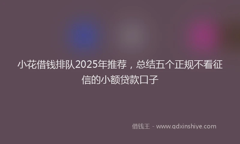 小花借钱排队2025年推荐，总结五个正规不看征信的小额贷款口子