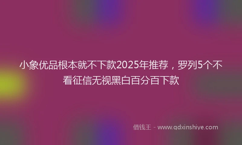 小象优品根本就不下款2025年推荐，罗列5个不看征信无视黑白百分百下款