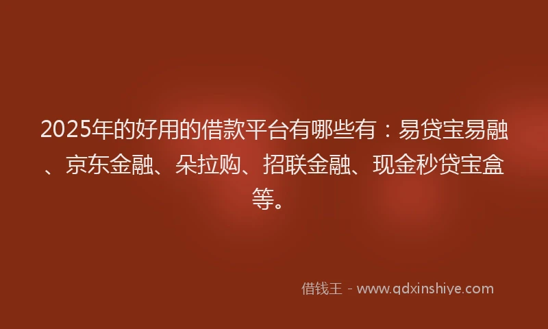 2025年的好用的借款平台有哪些有：易贷宝易融、京东金融、朵拉购、招联金融、现金秒贷宝盒等。