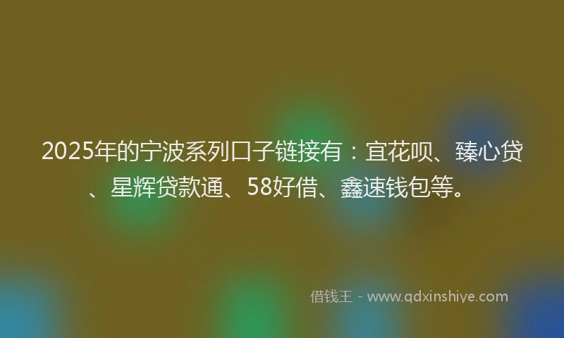 2025年的宁波系列口子链接有：宜花呗、臻心贷、星辉贷款通、58好借、鑫速钱包等。