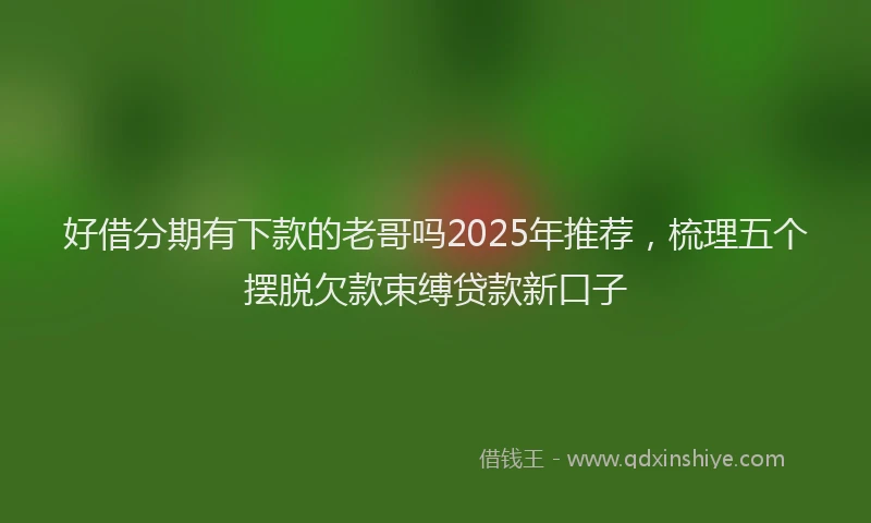 好借分期有下款的老哥吗2025年推荐，梳理五个摆脱欠款束缚贷款新口子