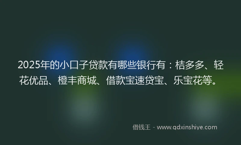 2025年的小口子贷款有哪些银行有：桔多多、轻花优品、橙丰商城、借款宝速贷宝、乐宝花等。
