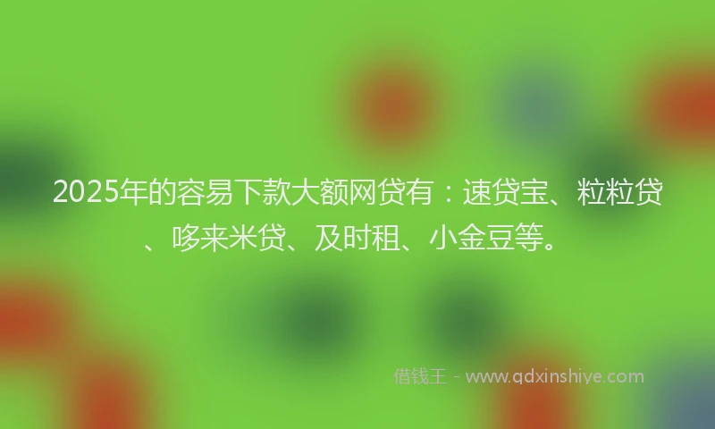 2025年的容易下款大额网贷有：速贷宝、粒粒贷、哆来米贷、及时租、小金豆等。