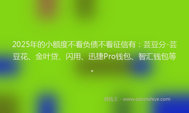 2025年的小额度不看负债不看征信有：芸豆分-芸豆花、金叶贷、闪用、迅捷Pro钱包、智汇钱包等。