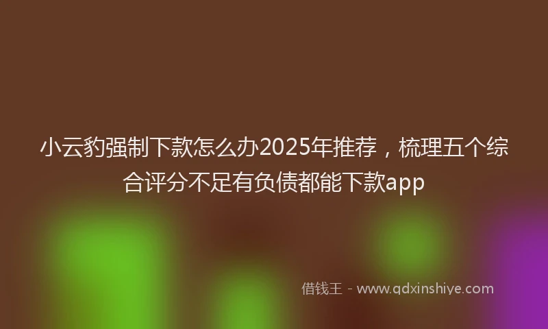 小云豹强制下款怎么办2025年推荐，梳理五个综合评分不足有负债都能下款app