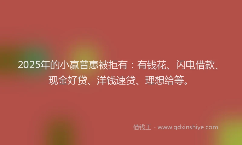 2025年的小赢普惠被拒有：有钱花、闪电借款、现金好贷、洋钱速贷、理想给等。
