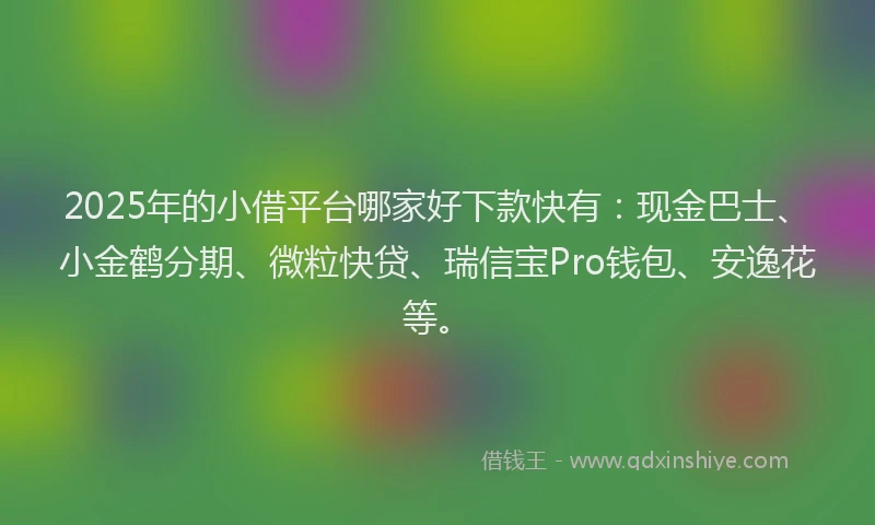 2025年的小借平台哪家好下款快有：现金巴士、小金鹤分期、微粒快贷、瑞信宝Pro钱包、安逸花等。