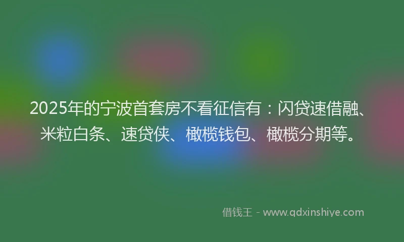 2025年的宁波首套房不看征信有：闪贷速借融、米粒白条、速贷侠、橄榄钱包、橄榄分期等。