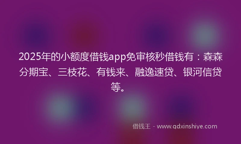 2025年的小额度借钱app免审核秒借钱有：森森分期宝、三枝花、有钱来、融逸速贷、银河信贷等。