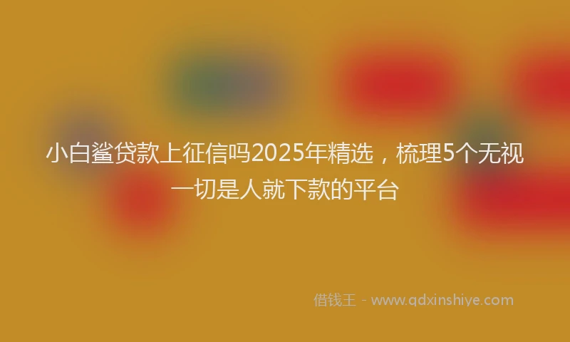 小白鲨贷款上征信吗2025年精选，梳理5个无视一切是人就下款的平台