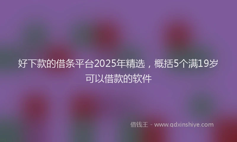 好下款的借条平台2025年精选，概括5个满19岁可以借款的软件