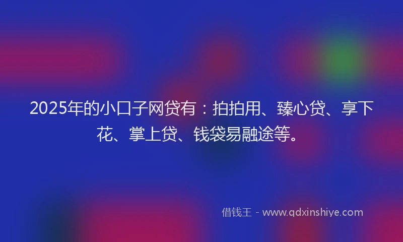 2025年的小口子网贷有：拍拍用、臻心贷、享下花、掌上贷、钱袋易融途等。