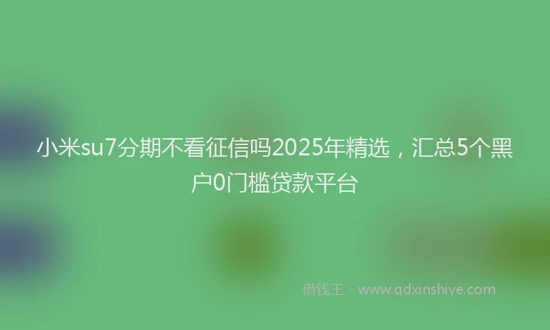 小米su7分期不看征信吗2025年精选，汇总5个黑户0门槛贷款平台