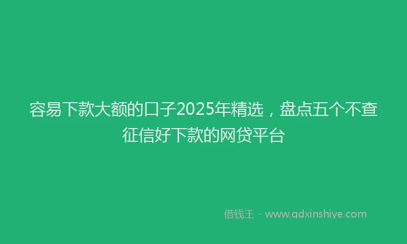 容易下款大额的口子2025年精选，盘点五个不查征信好下款的网贷平台